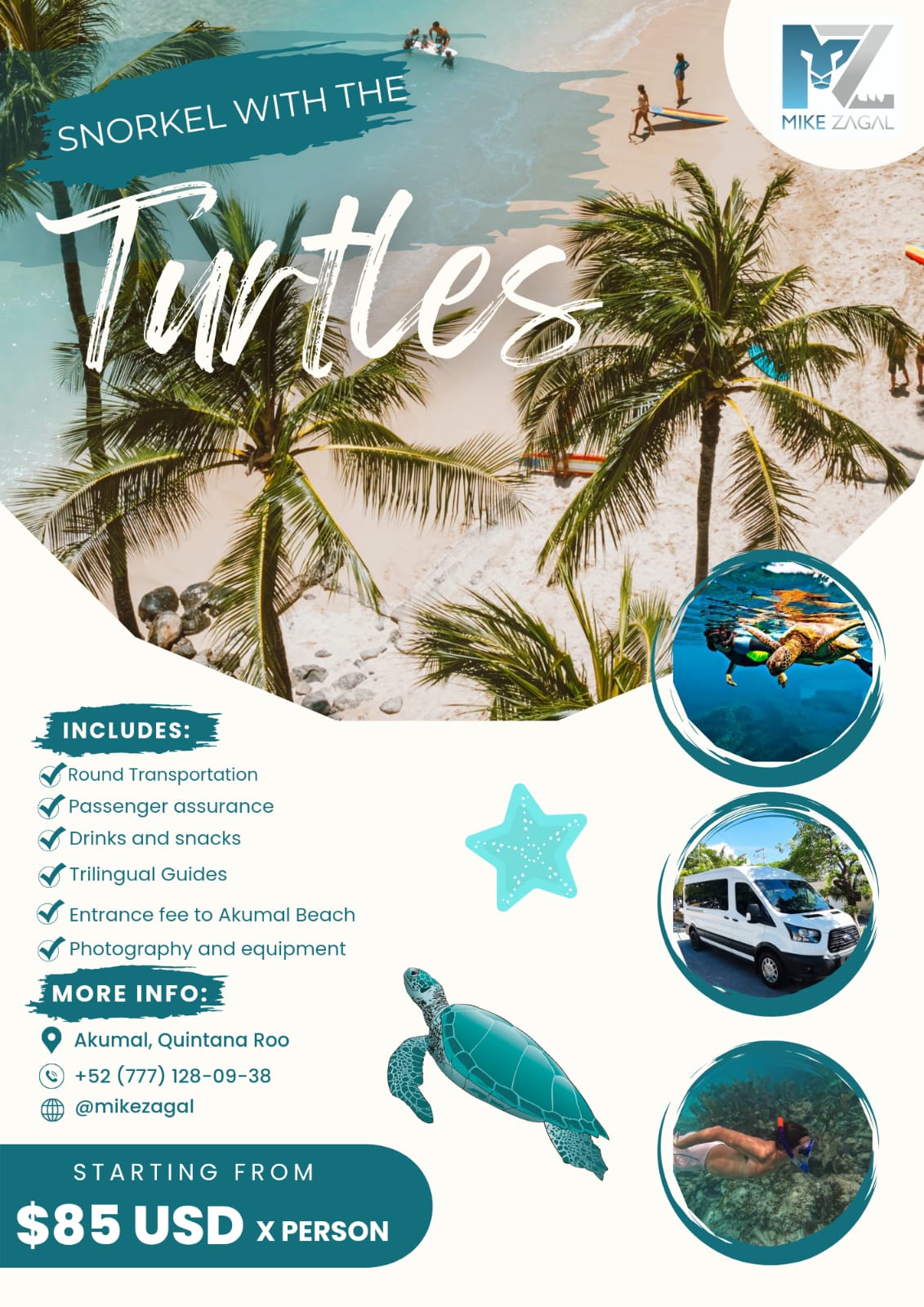 Sea Turtle Encounter